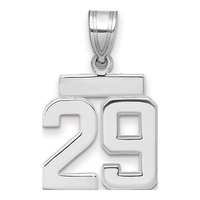 14K White Gold Number 29 Charm