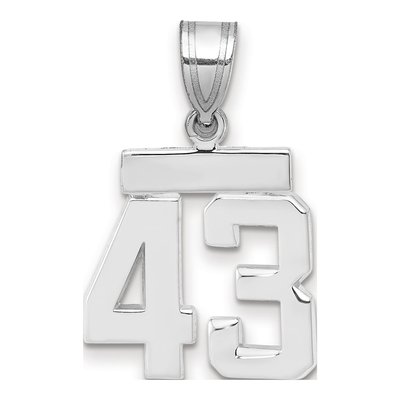 14K White Gold Number 43 Charm