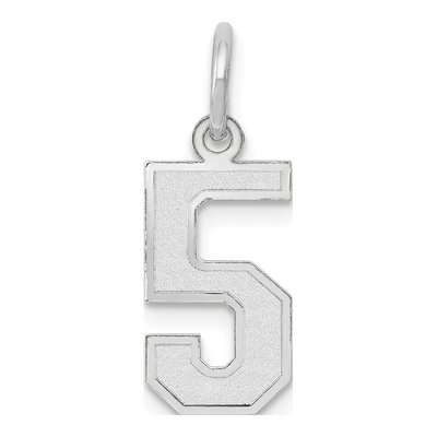 14K White Gold Small Number 5 Pendant