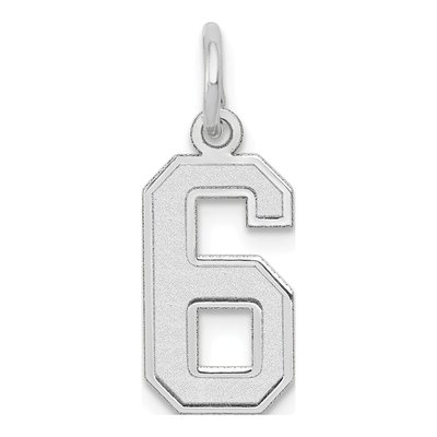 14K White Gold Small Number 6 Charm