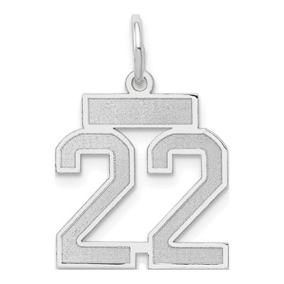 14K White Gold Number 22 Charm