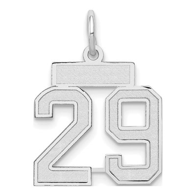 14K White Gold Small Number 29 Charm