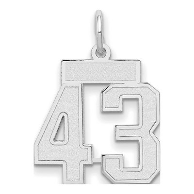14K White Gold Number 43 Charm