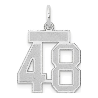14K White Gold Number 48 Charm