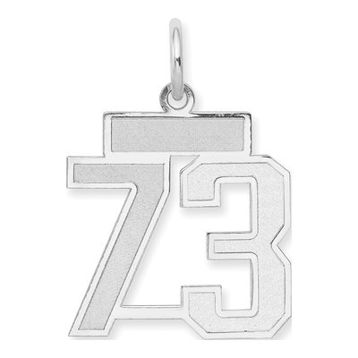 14K White Gold Number 73 Charm