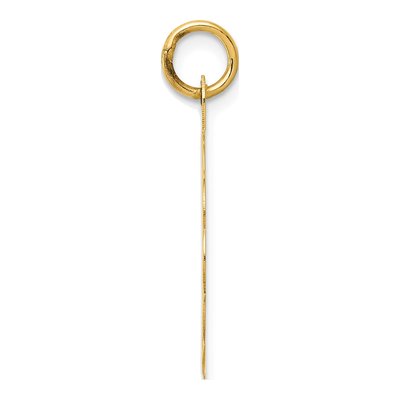 14K Yellow Gold 25th Anniversary Disc Charm – view 3