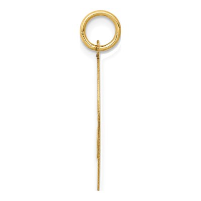 14K Yellow Gold Yorkshire Terrier Disc Charm – view 3
