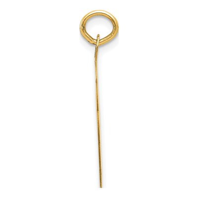 14K Yellow Gold Swimming Disc Charm – view 3