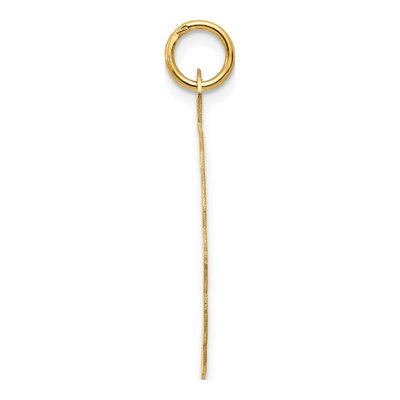 14K Yellow Gold Date Disc Charm – view 3