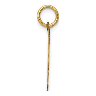 14K Yellow Gold 5th Anniversary Disc Charm – view 3