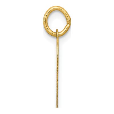 14K Yellow Gold Special Sister Heart Charm – view 3