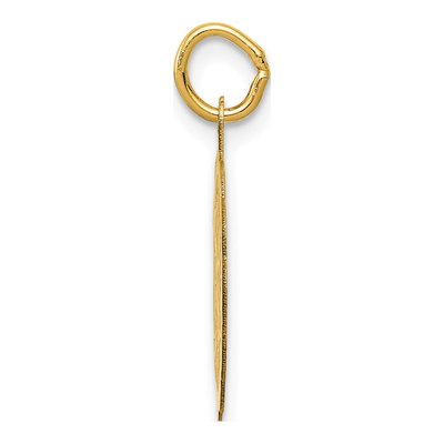 14K Yellow Gold Special Sister Disc Charm – view 3