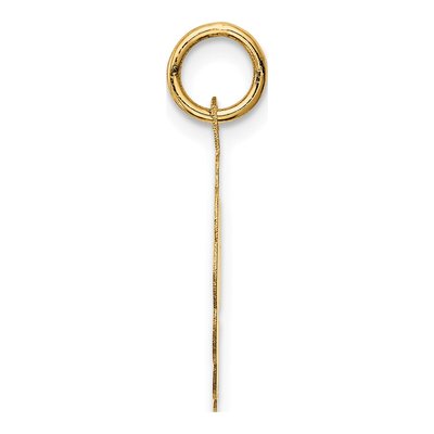 14K Yellow Gold Graduation Day Disc Charm – view 3