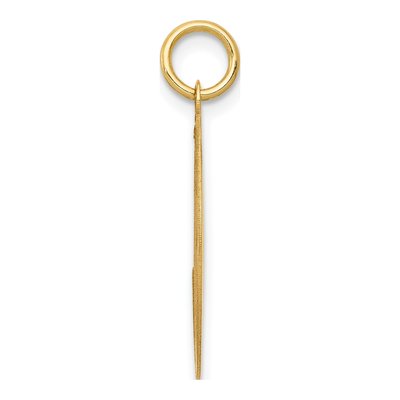 14K Yellow Gold Labrador Retriever Disc Charm – view 3