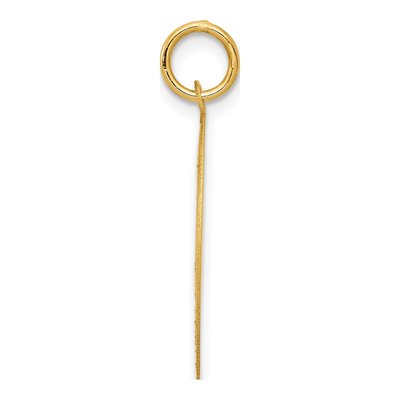 14K Yellow Gold Disc Dog Charm – view 4