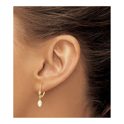 14K Yellow Gold Opal Oval Leverback Earrings – view 4