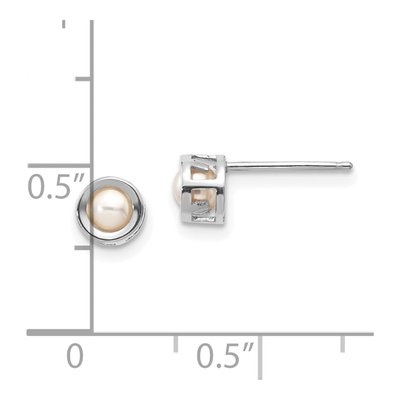 14K White Gold 3.5mm Near Round Freshwater Cultured Pearl Bezel Stud Earrings – view 4