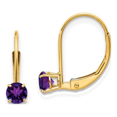 14K Yellow Gold Amethyst February Birthstone Leverback Earrings