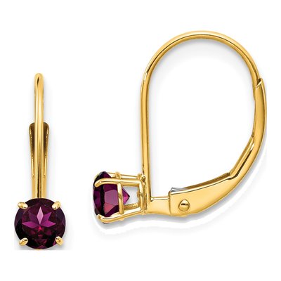 14K Yellow Gold Rhodolite Garnet Leverback Earrings