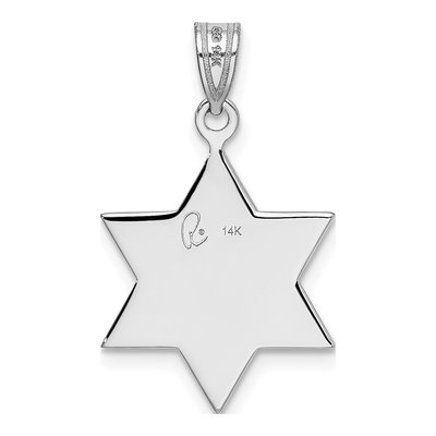 14K White Gold Star of David Pendant – view 4