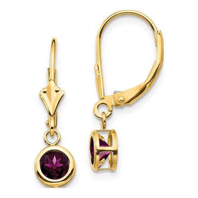 14K Yellow Gold Rhodolite Garnet Leverback Earrings