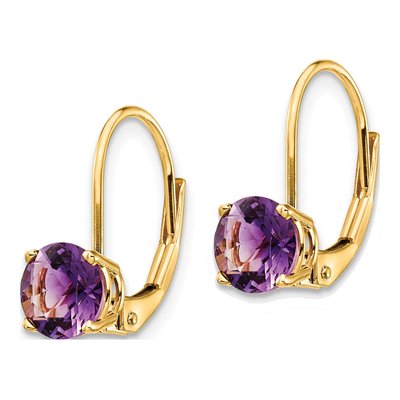 14K Yellow Gold Amethyst Round Leverback Earrings – view 2