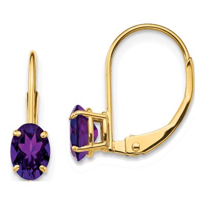 14K Yellow Gold Amethyst Oval Leverback Earrings
