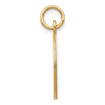 14K Yellow Gold Round Disc Charm – view 2