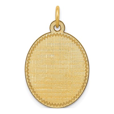14K Yellow Gold Oval Disc Charm