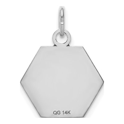 14K White Gold Medical Alert Hexagon Pendant – view 4