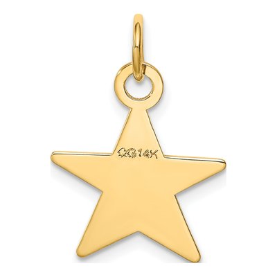 14K Yellow Gold Star Disc Charm – view 4
