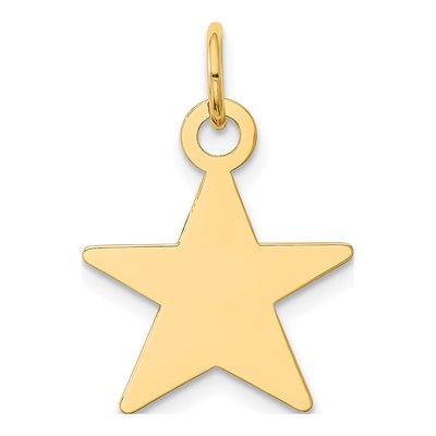 14K Yellow Gold Star Disc Charm