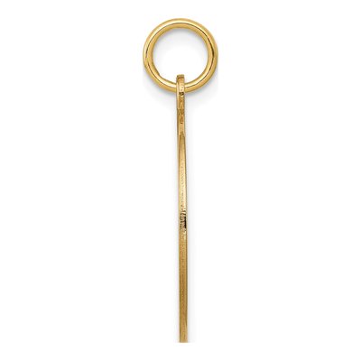 14K Yellow Gold Round Disc Charm – view 3