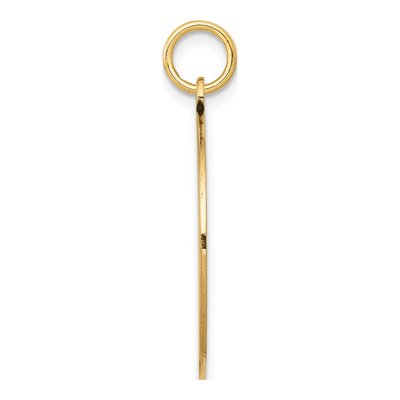 14K Yellow Gold Round Disc Charm – view 3