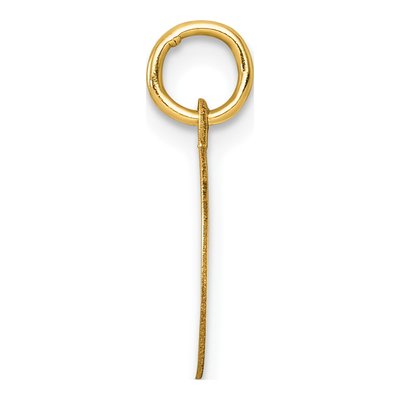 14K Yellow Gold Round Disc Charm – view 3