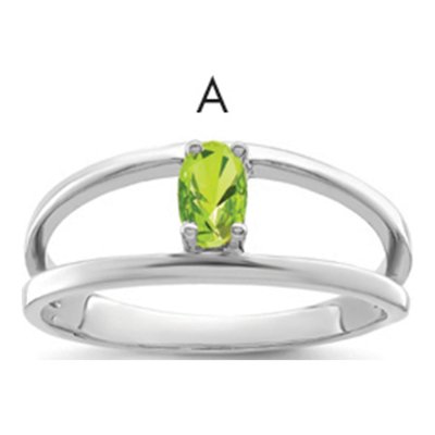 Sterling Silver or 14K White Gold Family Ring