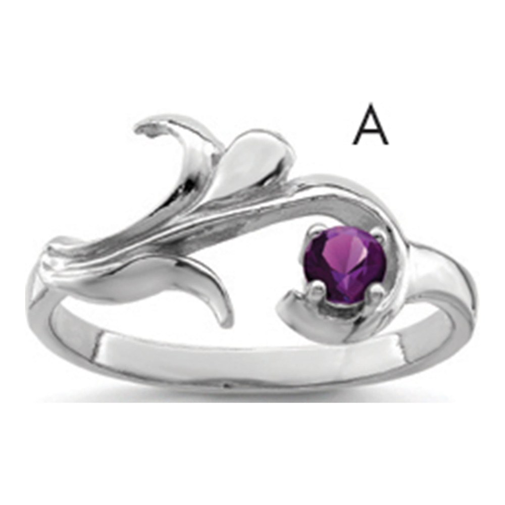 Sterling Silver or 14K White Gold Personalized Family Ring