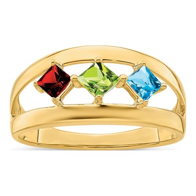 14K Yellow Gold Family Ring Mounting