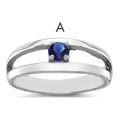 Sterling Silver or 14K White Gold Family Ring