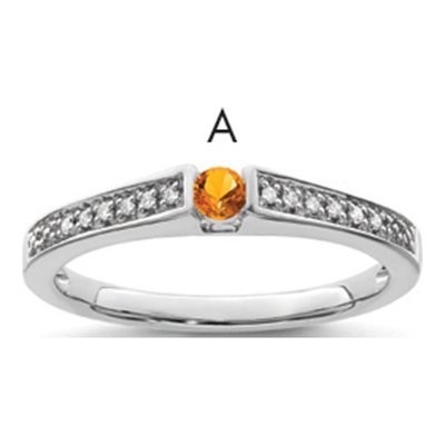 14K White Gold Diamond Custom Family Ring
