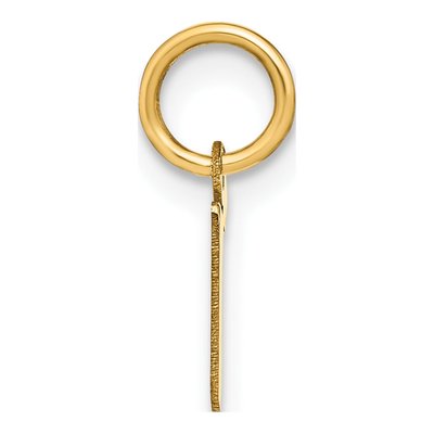 14K Yellow Gold Lowercase Letter R Pendant – view 3