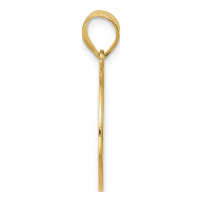14K Yellow Gold Personalized HOME State Pendant – view 2