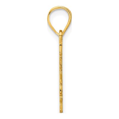 14K Yellow Gold Louisiana State Pendant – view 4