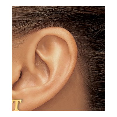 Gold-Plated Sterling Silver Letter T Stud Earrings – view 3