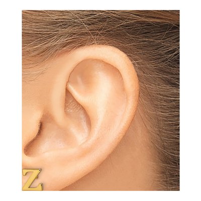 Gold-Plated Sterling Silver Letter Z Stud Earrings – view 3