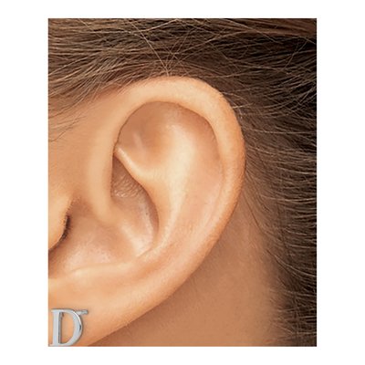 Sterling Silver Letter D Stud Earrings – view 3