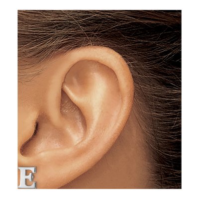 Sterling Silver Letter E Stud Earrings – view 3