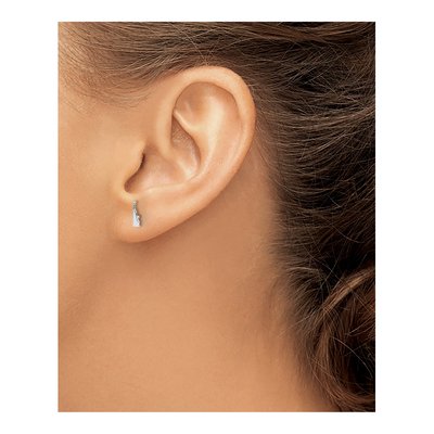 Sterling Silver Delaware State Stud Earrings – view 3