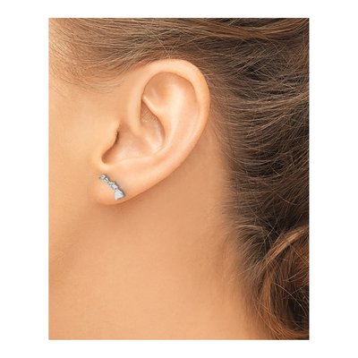 Sterling Silver Hawaii State Stud Earrings – view 4