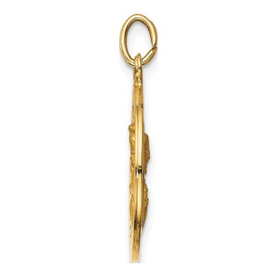 14K Yellow Gold Queen of Holy Scapular Medal Pendant – view 3